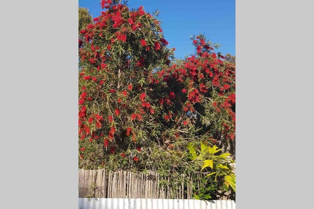 Leeward 'tranquil beachfront' Kingscote Extérieur photo